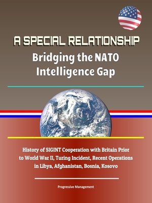 cover image of A Special Relationship